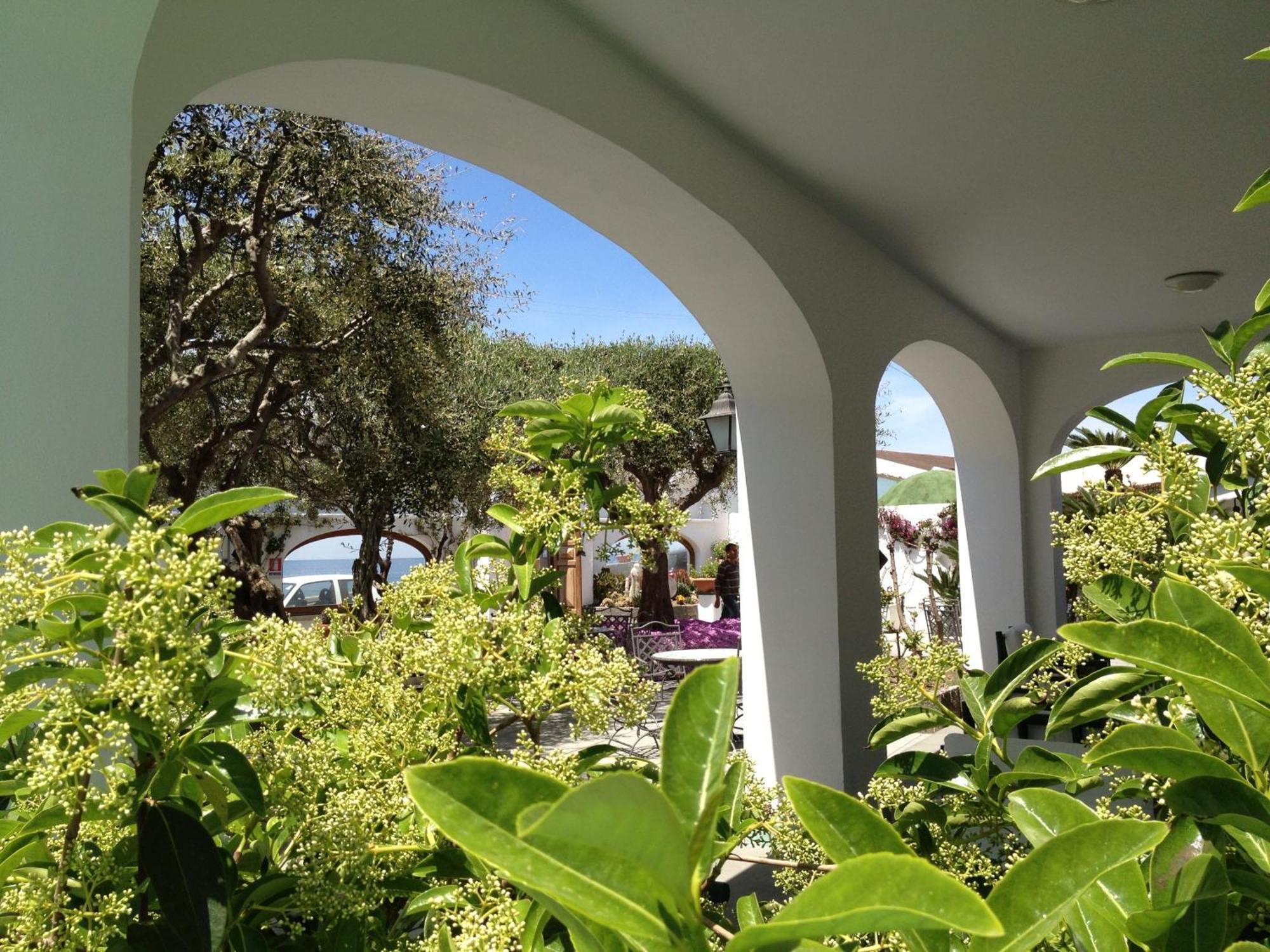 Hotel La Scogliera Forio di Ischia Eksteriør billede