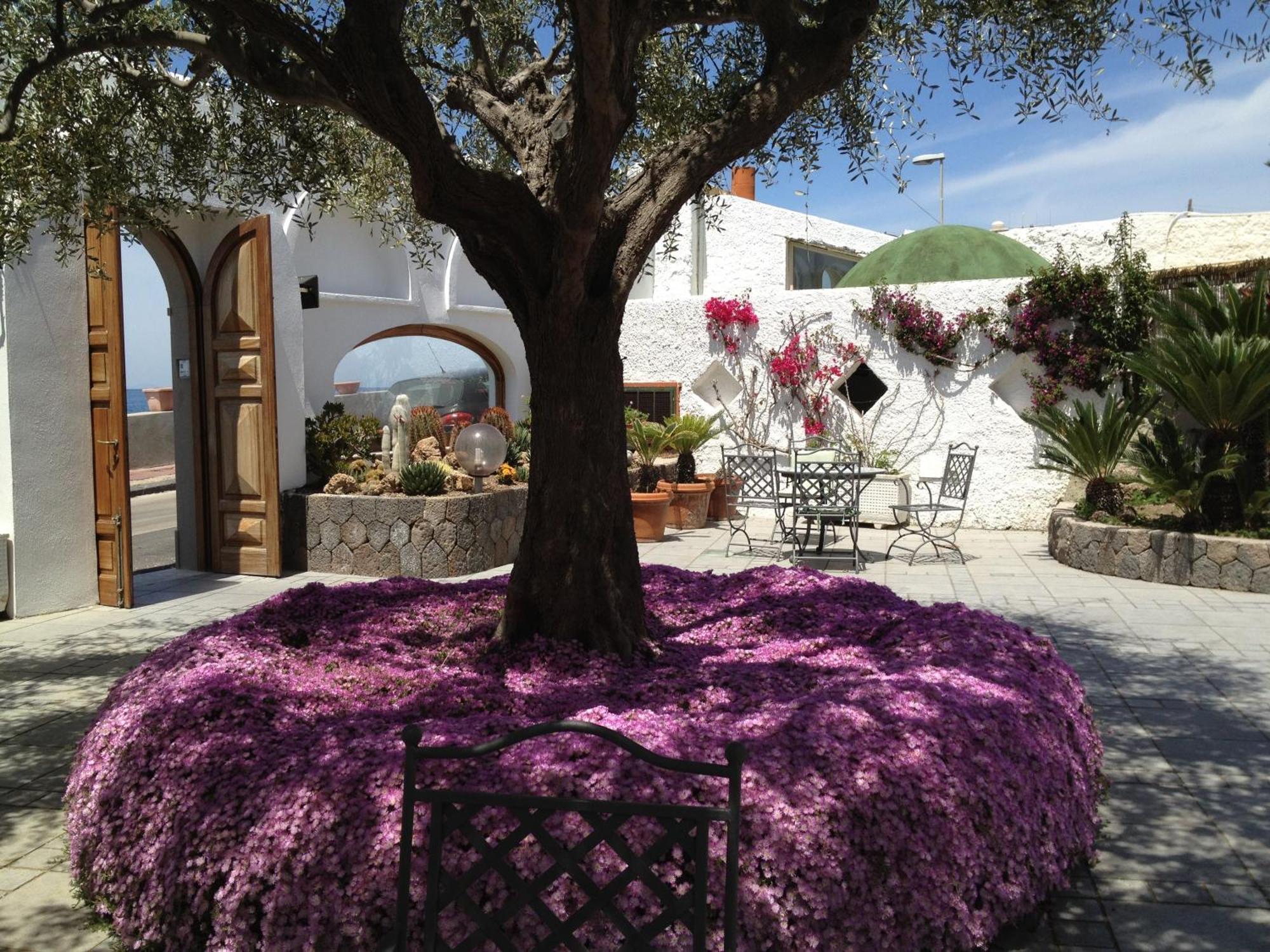 Hotel La Scogliera Forio di Ischia Eksteriør billede